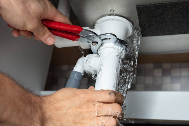 Best Professional water damage repair  in Carlisle Rockledge, AL
