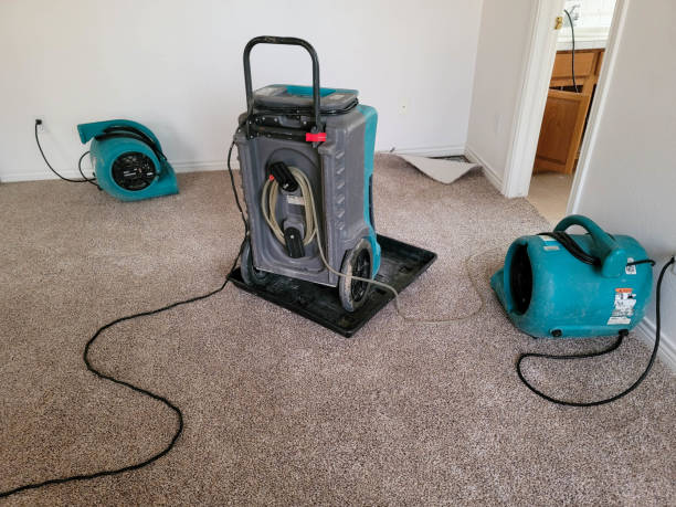 Carlisle Rockledge, AL Water damage restoration Company