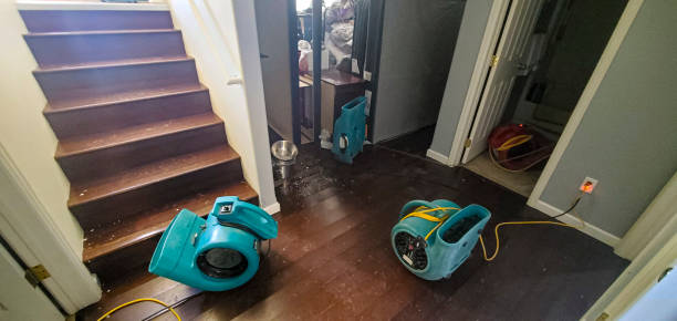 Best Flooded house restoration  in Carlisle Rockledge, AL