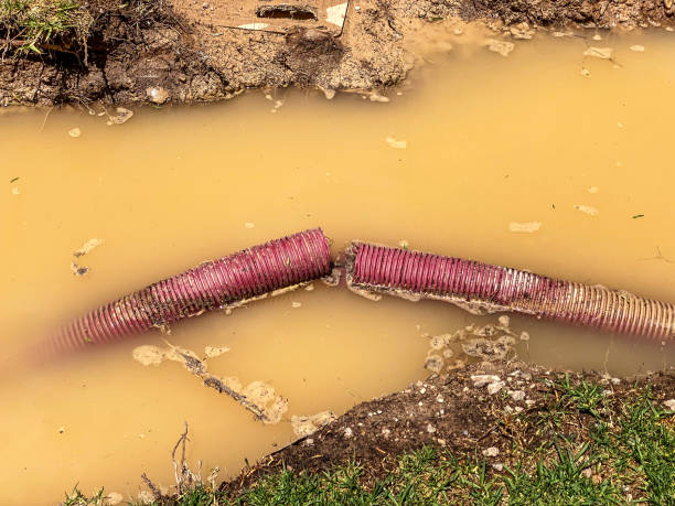 Best Water damage contractors near me  in Carlisle Rockledge, AL